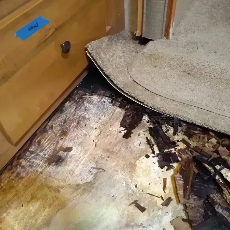 Wood Floor Water Damage in Kinsey, AL